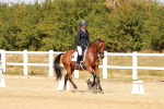SBM_018486