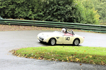 04-10-2020 Pete Wilson-212