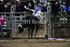 Brenson Bartlett_DSC1708