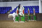SBM_003158