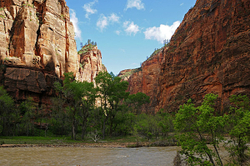 Zion National Pk.- 2011 portfolio