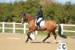 SBM_001495