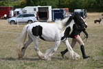 WJ6_6469