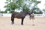 SBM_05696