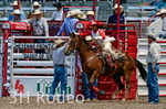 _DSC2474