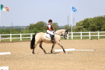 SBM_008660