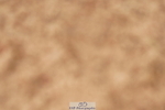 240526A-112432-07790