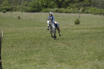 BVHT 140517  IXC -515