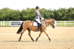 SBM_000293
