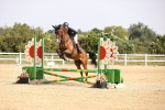 SBM_001805