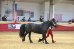 SBM_16706