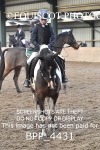 22nd NOV 2025 - Open Show Jumping inc Pony Club - WEST KYPE FARM portfolio