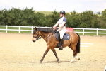SBM_001436