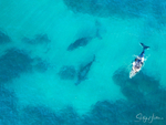 Three Humpbacks 8