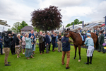 160524-Race 1-Clarendon House-7711