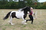 WJ6_5385