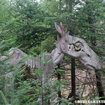 Animaland Sussex New Brunswick Canada
