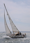140505 SEA ROSE WT7A0855