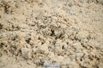251004A-091147-00087