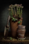 The Vintage Trowel