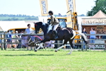 SBM_12141