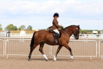 SBM_13463