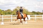 SBM_006271