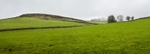 Minninglow Hill Emerging from the Mist