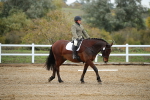 SBM_000261