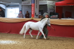 SBM_16578
