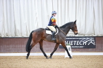 SBM_000365
