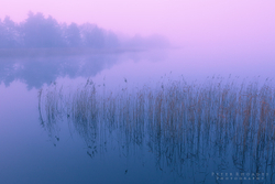 Frensham Pond