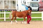 SBM_10164
