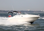 090524 YOYO IMG_3162
