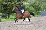 BPP_5207