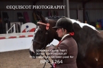 BPP_1264