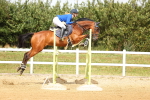 SBM_010377