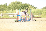 SBM_004711