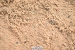 240720A-092949-13419