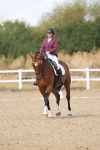 SBM_009781