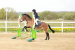SBM_003902