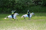WJ7_8716