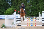 233-SILVESTERS_FINESSE-Rosalind_Canter portfolio