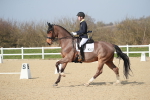 SBM_008353