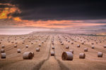 z2775 Summer Bales at Dusk, Chale
