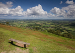 Bench with a view