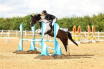 SBM_002700