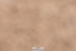 231217A-103507-00172