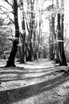 Overexposed 1
