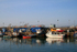 Wrexham  _DEV012